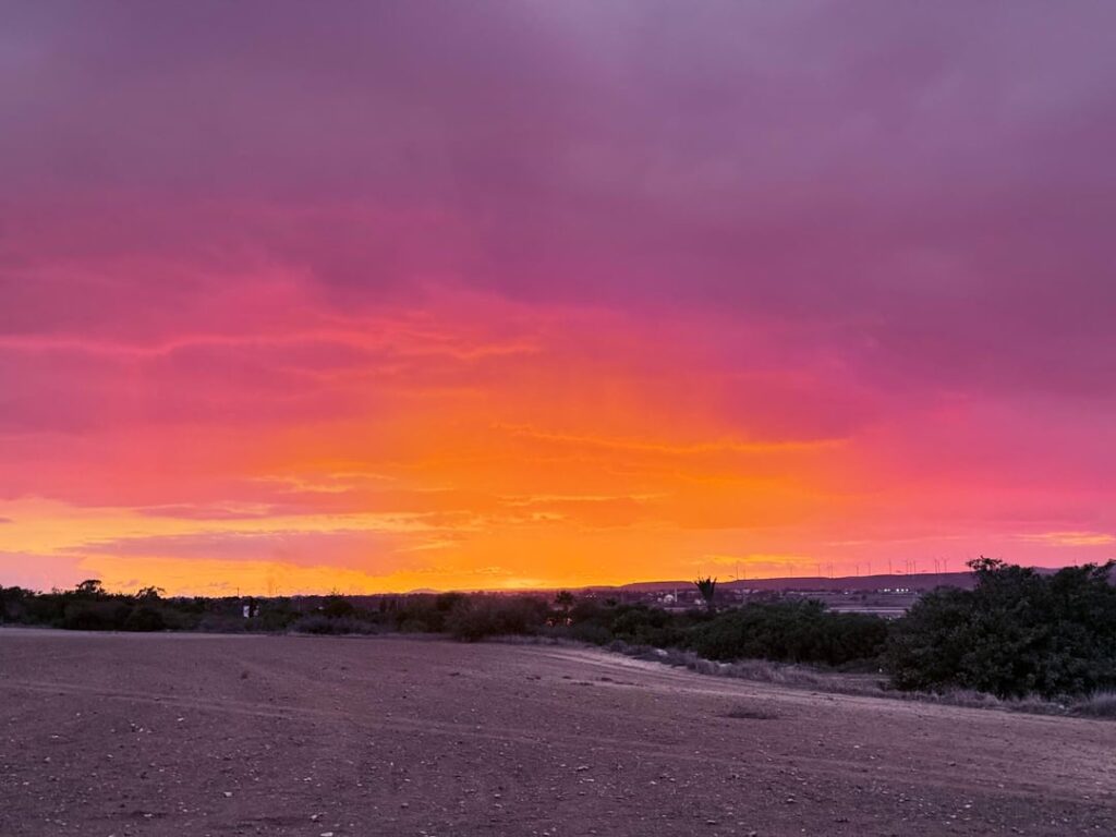 フィルターなしの信じられないほどのラルナカの夕日 😍