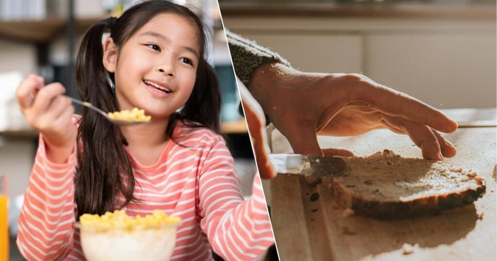 ヨーロッパの朝食用シリアルから高用量のPFASが検出：ベルギーの全粒粉パンは「最も汚染された」製品の一つ