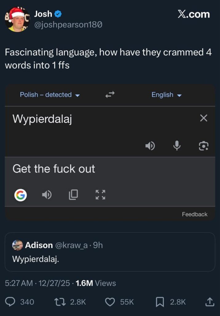 Twitter がポーランド語の多様性を発見