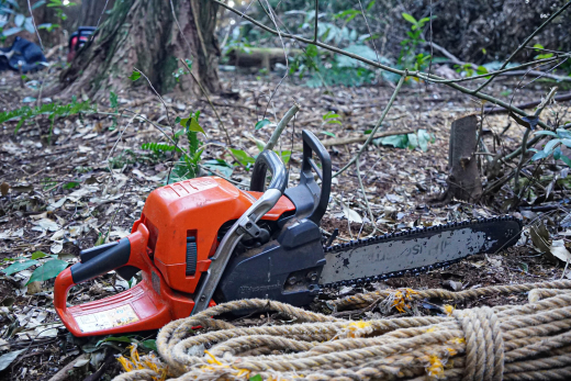 【鹿児島県出水市】手の届く世界の循環を守り、200年先もあり続ける森へ ／ 株式会社WOODLIFE 中尾雄基さん