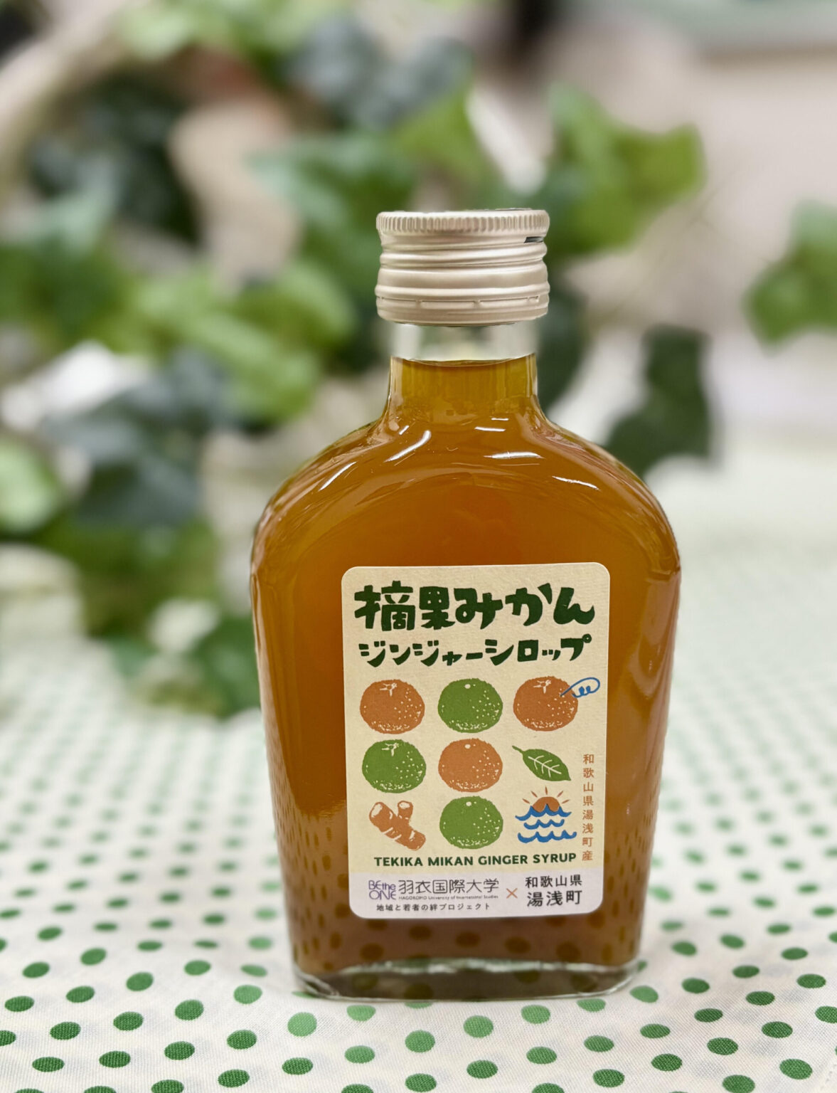 「摘果みかんジンジャーシロップ」ついに完成！! 羽衣国際大学 × 湯浅町 × 株式会社ABCサステナテーブル