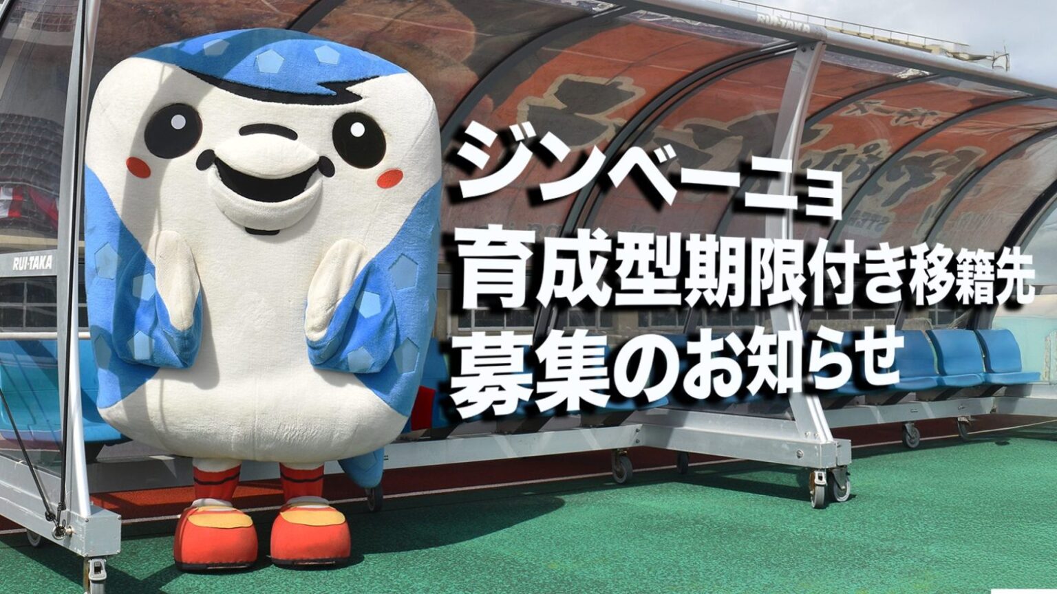 ジンベーニョ 契約更新および育成型期限付き移籍先 募集のお知らせ