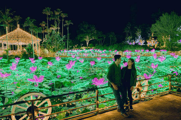 南国の光が夜を彩る冬の植物楽園 東南植物楽園　沖縄・沖縄市【週刊レキオ2025おすすめ特集PR】