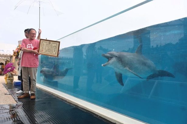 【全文】デニー知事もオキちゃん追悼　「多くの県民や観光客に笑顔と感動」　飼育50年で沖縄県観光特別賞も