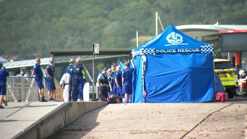 26時間で3件のサメ襲撃　2人重体、海岸が閉鎖に　豪シドニー - CNN.co.jp