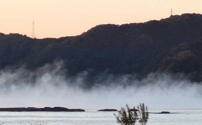 地磯のデイエギングで良型アオリイカをキャッチ【和歌山・南紀】深場狙いが奏功