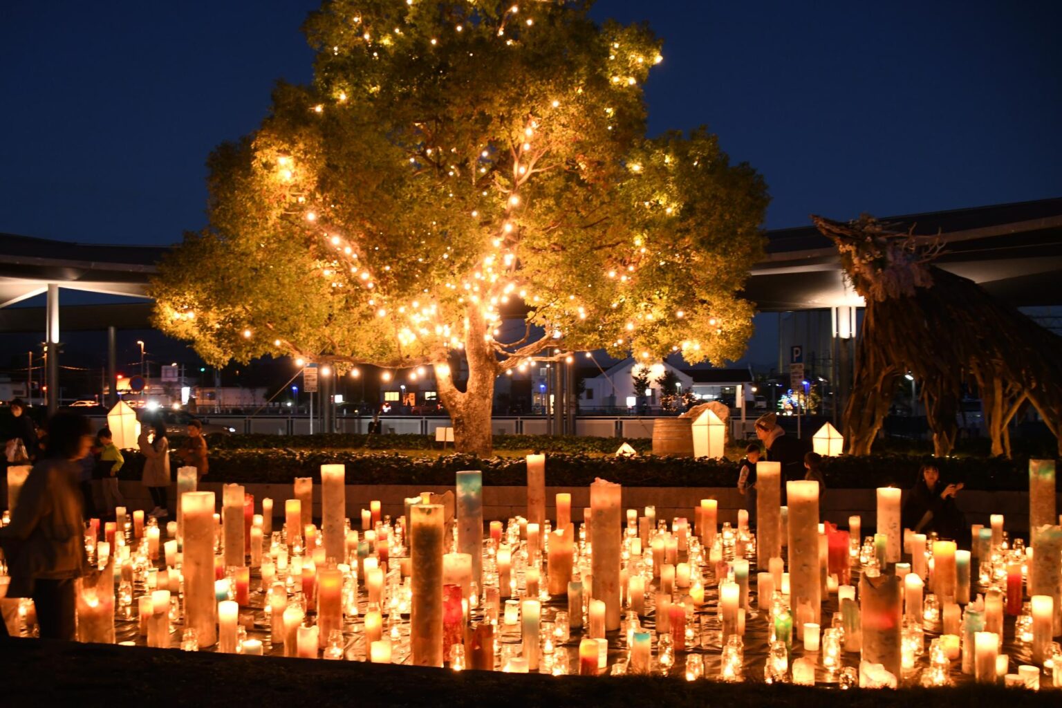 イルミネーション