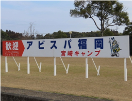 １月および宮崎キャンプの公開日　追加・変更のお知らせ | アビスパ福岡公式サイト | AVISPA FUKUOKA Official Website