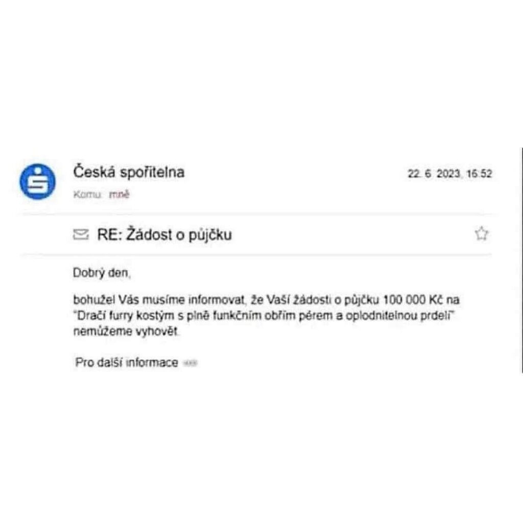 借りたかったのですが、残念ながらうまくいきませんでした...何かアドバイスはありますか?🐶