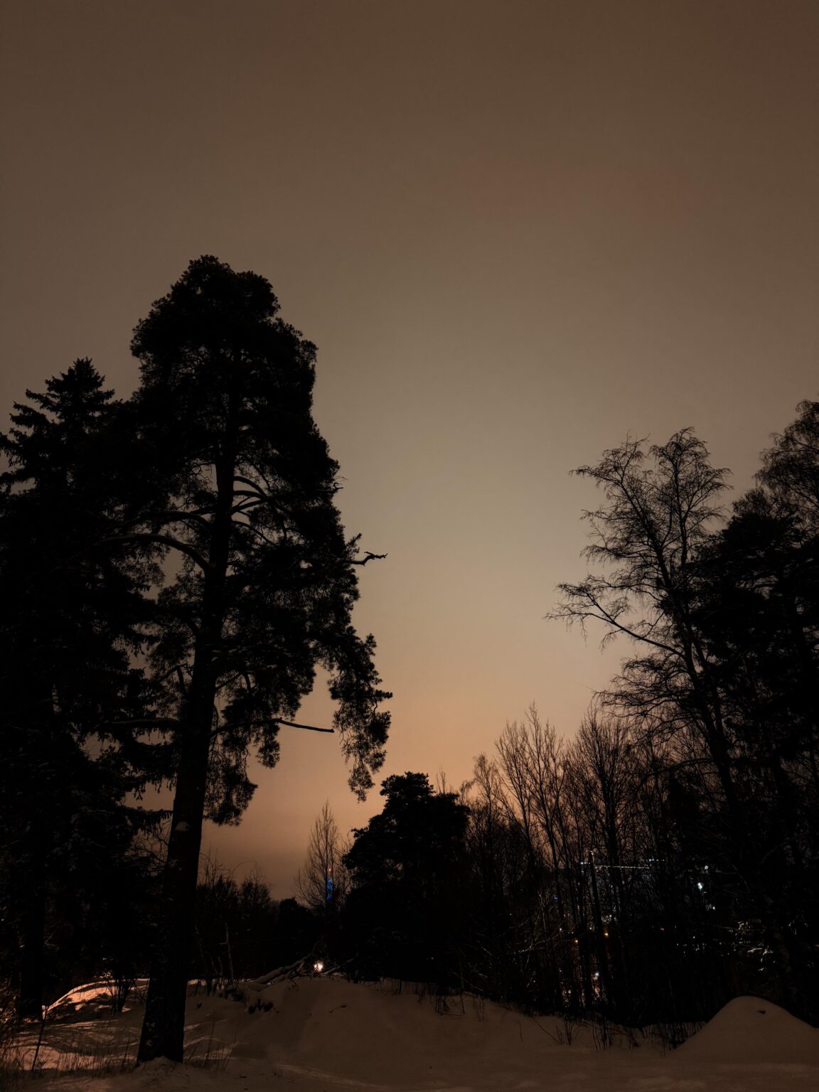 私はオーロラを見ていたのでしょうか、それともこれは単なる光害でしょうか?