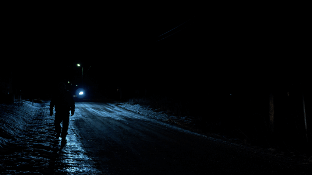 特に反射ベストを着用してください。道路の近くを歩いている場合（動物も）、または自転車に乗っている場合
