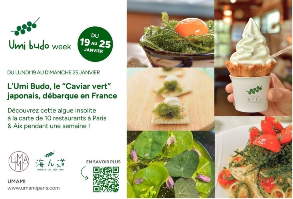 ミシュラン掲載店を含むフランスの10の飲食店と「海ぶどう」がコラボレーション　沖縄発「海ぶどう」を多彩なメニューで表現する『Umi budo week＠フランス』へ参加 | 株式会社日本バイオテックのプレスリリース