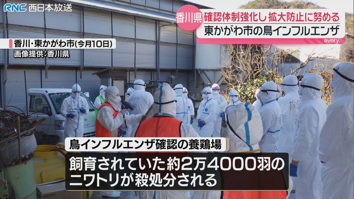 鳥インフルエンザ拡大防止に努める姿勢　香川県知事