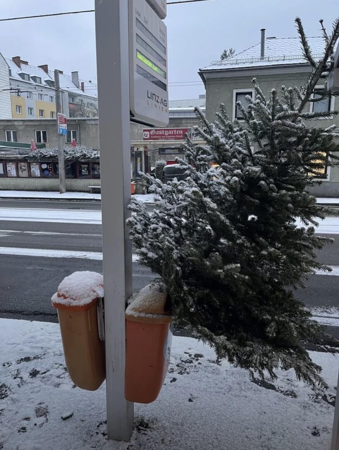 一味違う木の処分 🙈🙈