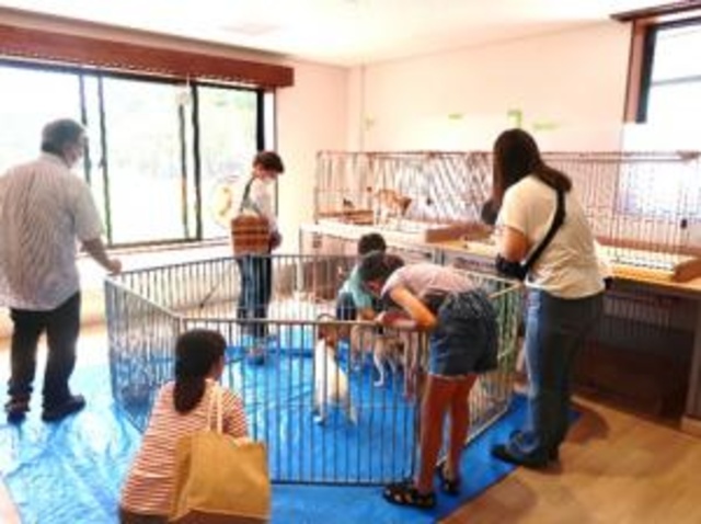 広島県動物愛護センター 犬の譲渡会（2月）