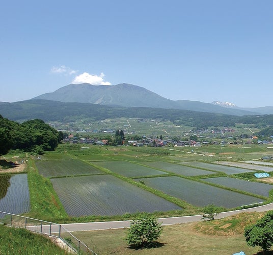 長野県 飯綱町 ２年連続で社会増を達成へ！｜信濃毎日新聞デジタル　信州・長野県のニュースサイト