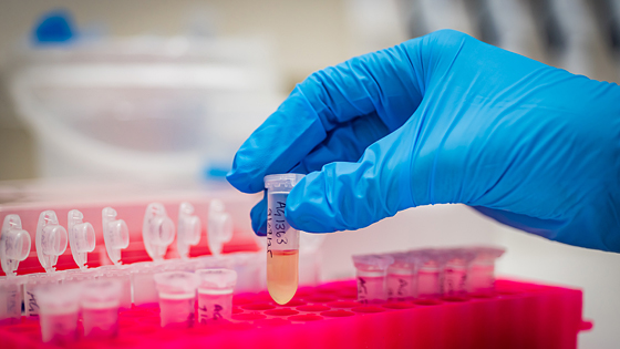 環境DNAによる生物多様性監視基盤を公開 豪CSIRO|大洋州科学技術ニュース|Science Portal Oceania 大洋州（オーストラリア、ニュージーランド等）の科学技術の今を伝える