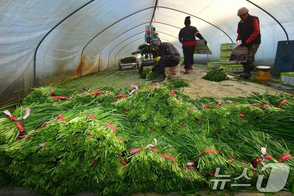 韓国・中小企業の8割「外国人労働者雇用は国内人材の確保が困難なため」…熟練職も依存度上昇　写真枚　国際ニュース：AFPBB News