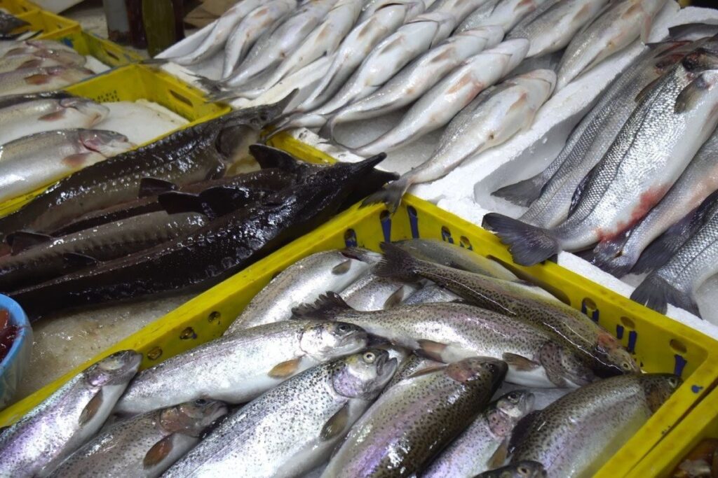 岩手県の鮮魚店で売られていた「巨大な魚」に目を疑う　まさかの価格に「0が2個消えた…？」「安いことだけはわかる」 | LIMO | くらしとお金の経済メディア