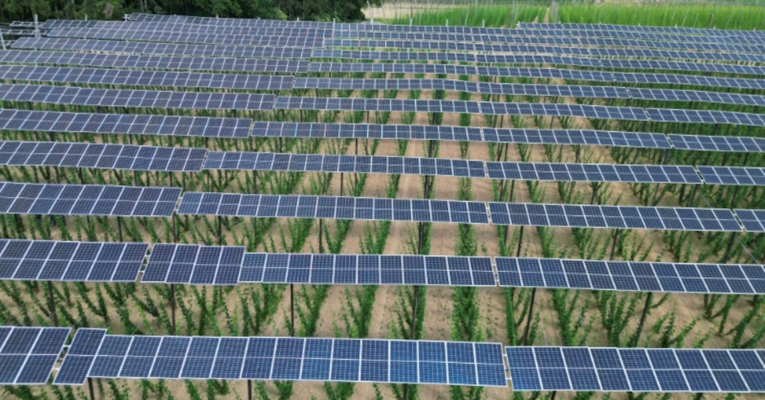 ＥＵ、グリーン技術の公共調達に「欧州製」ルールを計画 | ロイター