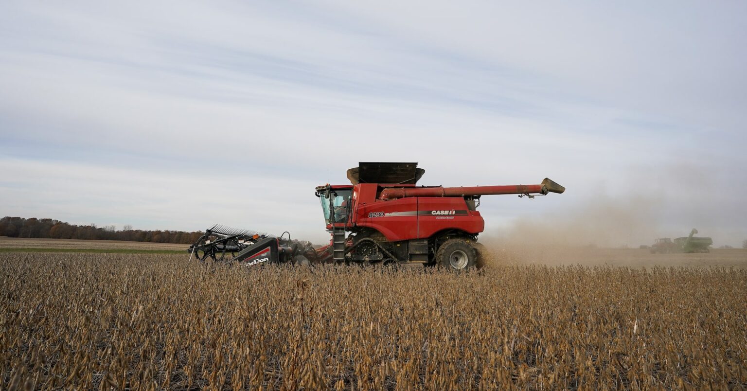 中国の大豆輸入、米国シェア15％に低下　南米産にシフト | ロイター