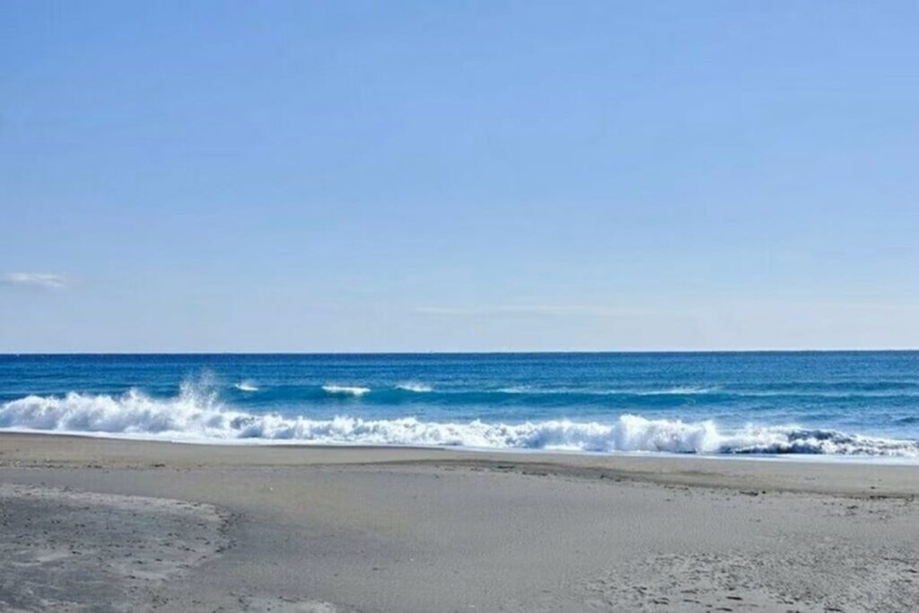 茨城県の波打ち際で拾った「謎の物体」に目を疑う　その正体にさまざまな推測が寄せられる | LIMO | くらしとお金の経済メディア