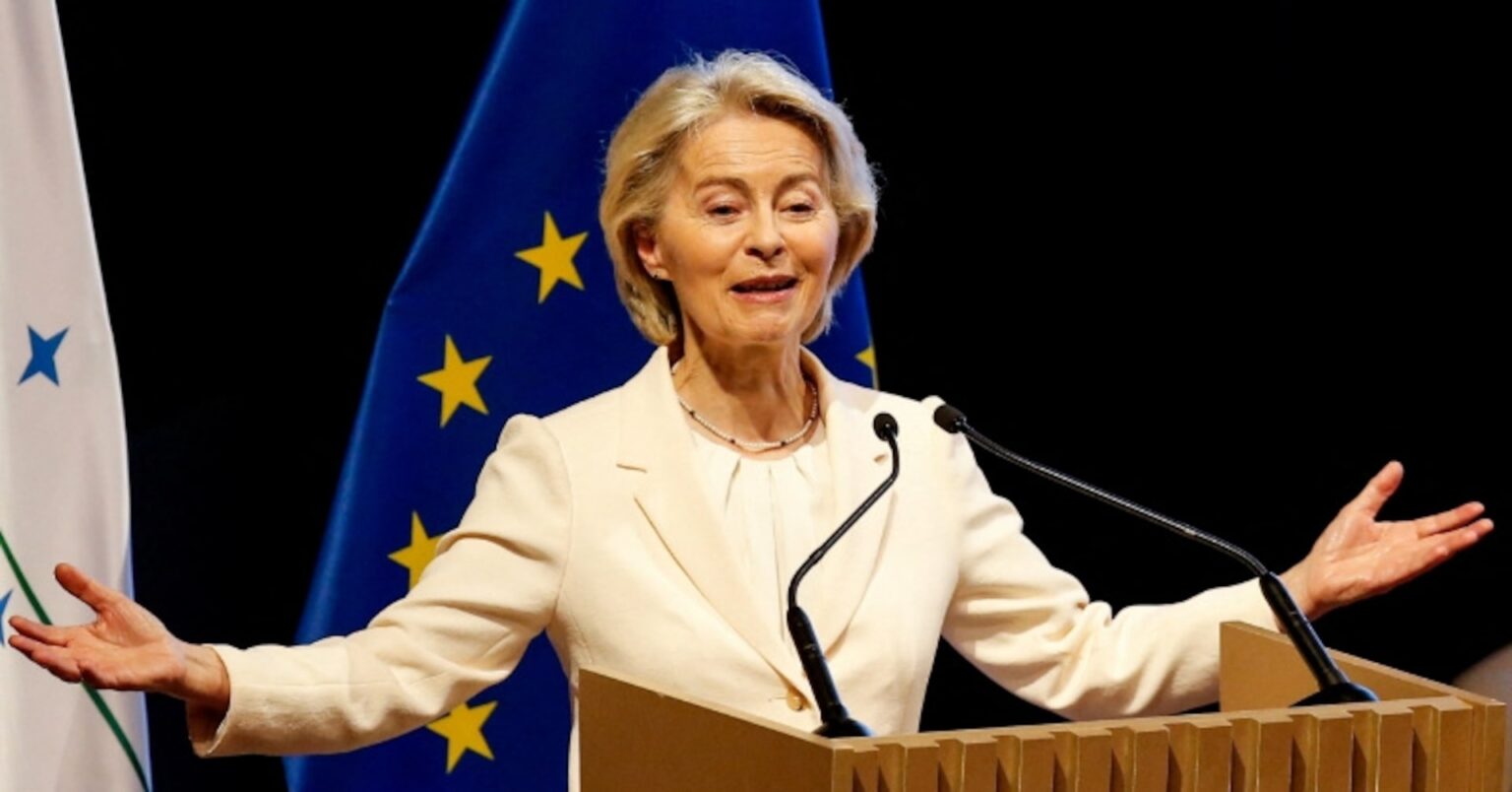 欧州委員長、北極圏の安全保障支援策を作成　関税は「間違い」 | ロイター