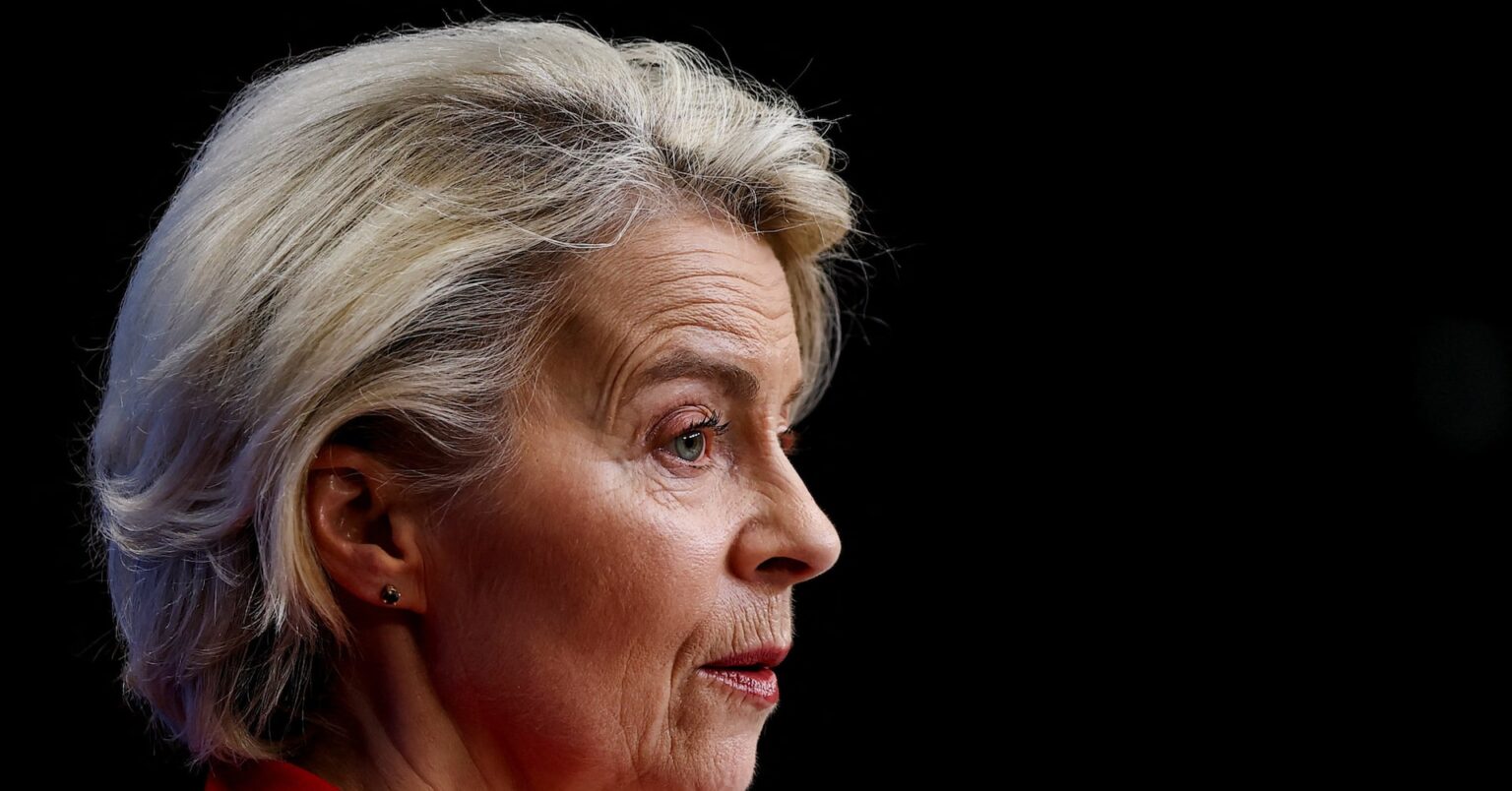 ＥＵ、グリーンランドに投資へ　北極圏対応装備など＝欧州委員長 | ロイター