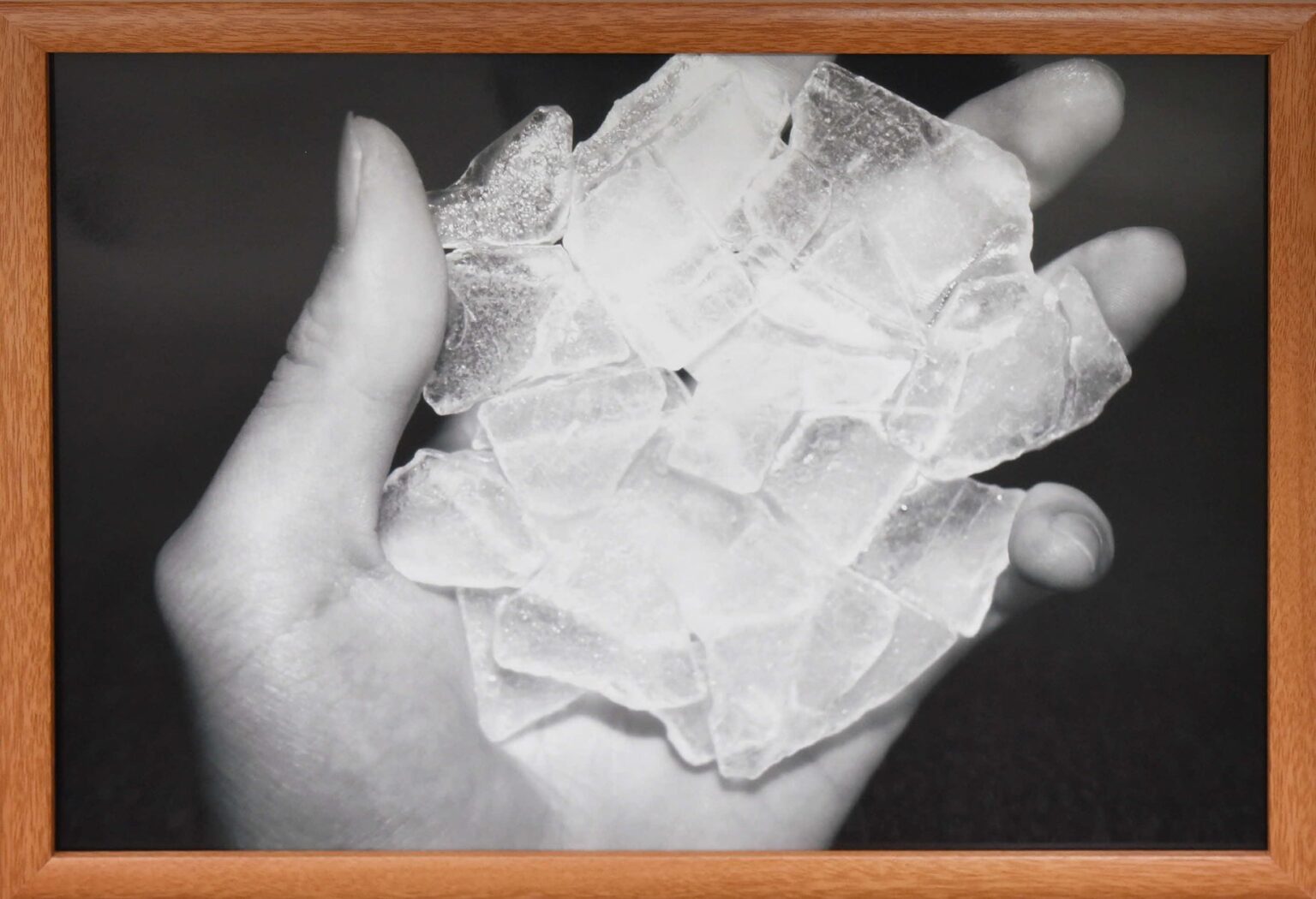 第34回川西市展 特別賞3作品が決定 / 兵庫県川西市 | 川西市のプレスリリース