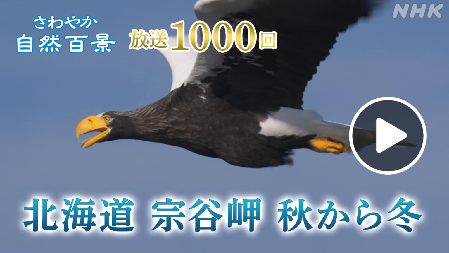 さわやか自然百景　北海道　宗谷岬　秋から冬　NHK ONE配信２月１日まで | NHK北海道