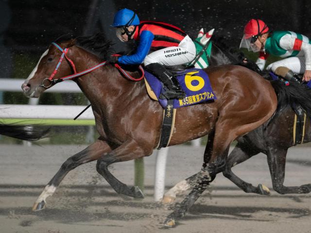 ギシギシが種牡馬生活をスタート 青森県の東北牧場にて(netkeiba)|dメニューニュース(NTTドコモ) ギシギシが種牡馬生活をスタート 青森県の東北牧場にて