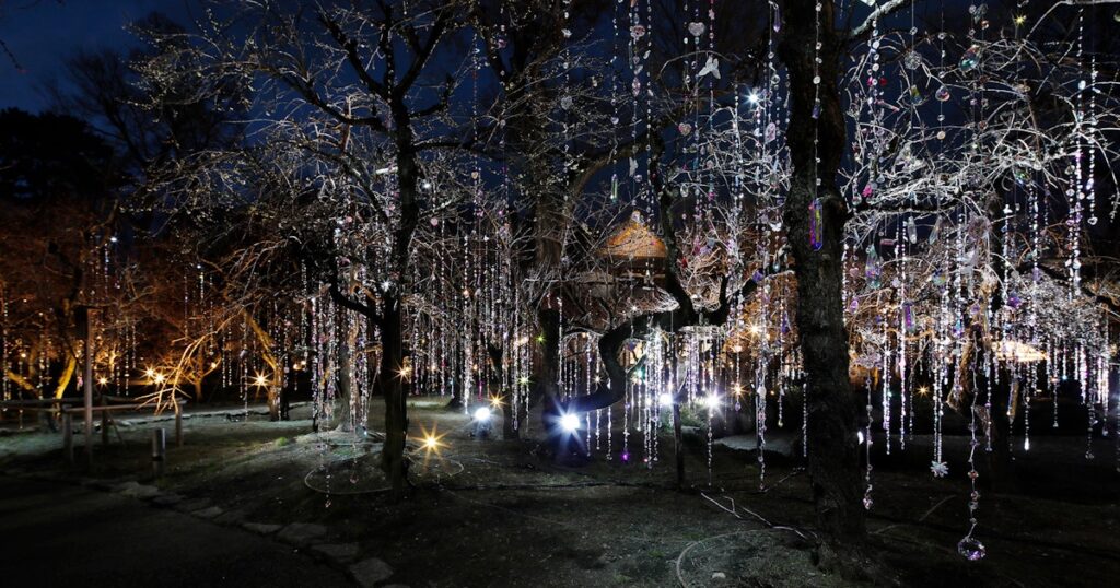 「KYOTO NIPPON FESTIVAL 2026 -時をこえ、華ひらく庭-」（北野天満宮）レポート。蜷川実花 with EiM が織りなす光と花の庭へ