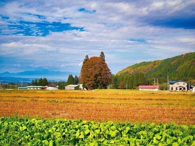 山形県で「ふるさと納税の返礼品が魅力的」と思う市ランキング！ 2位「米沢市」を抑えた1位は？【2025年調査】