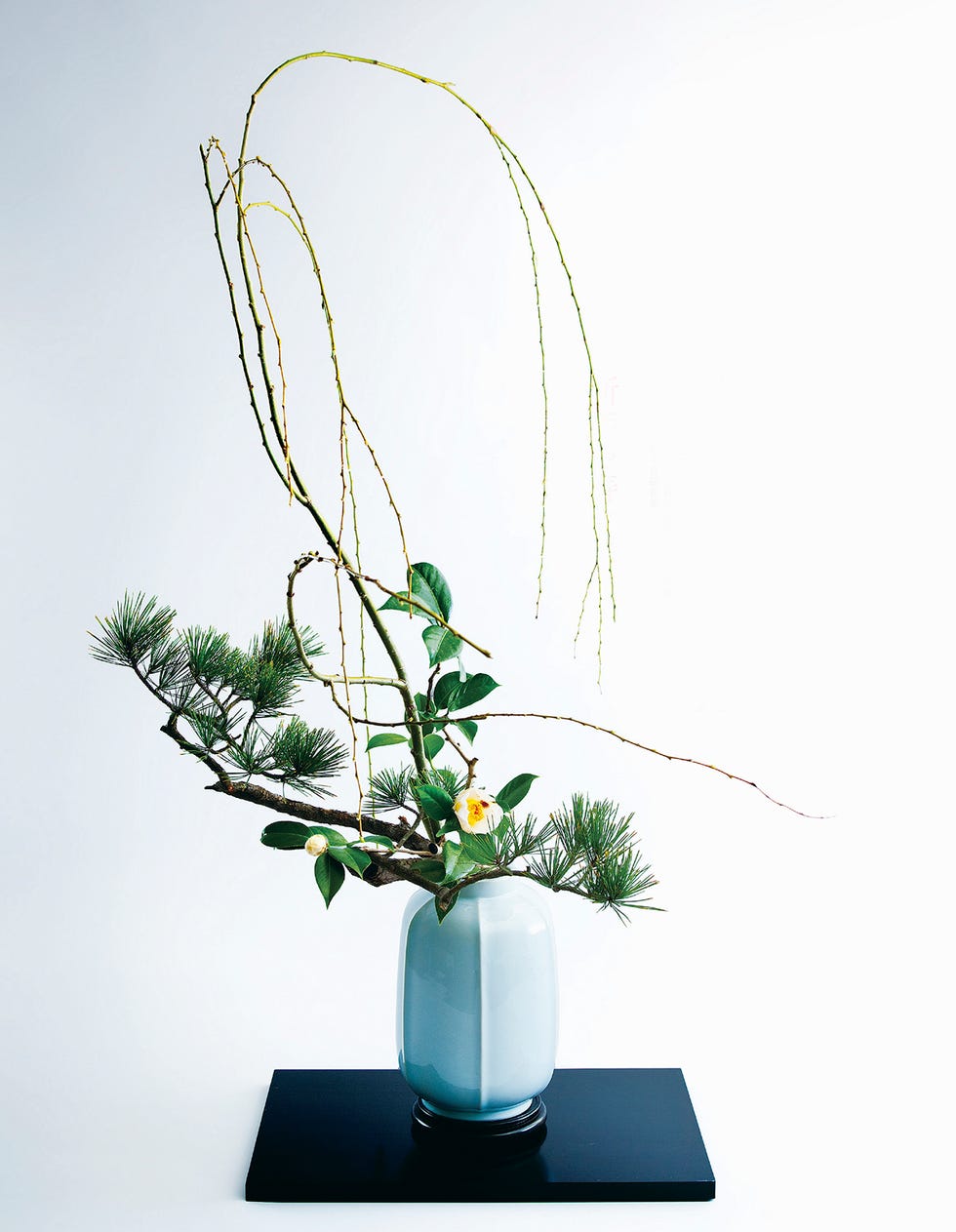 2月 家元のいけばな