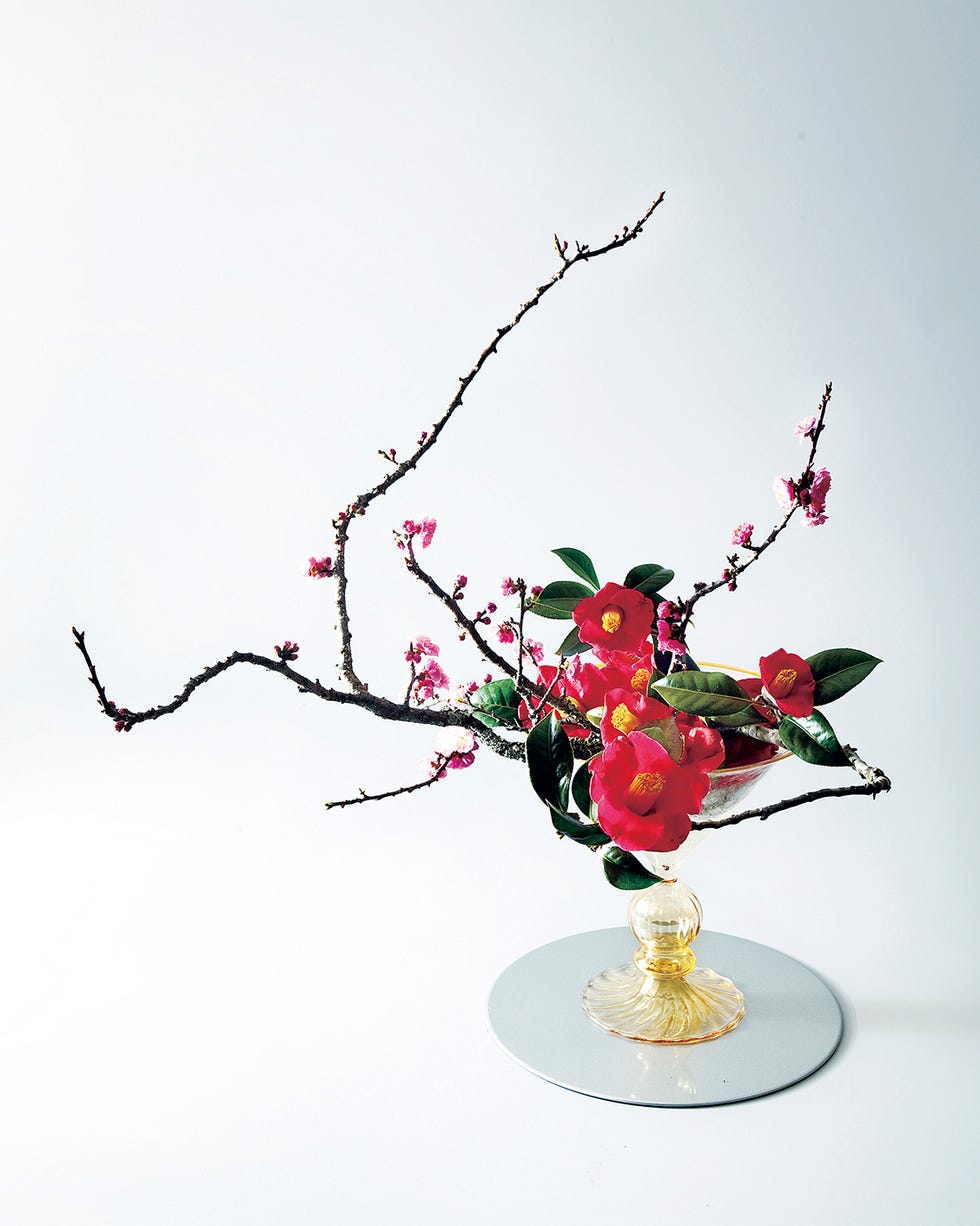 2月 家元のいけばな