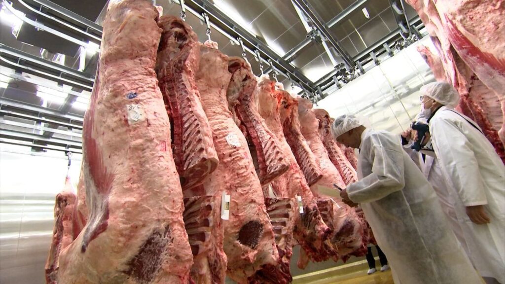 岡山県産ブランド和牛の初競り“枝肉共励会”　最高値は新見市産の牛 1キロあたり2,905円（RSK山陽放送） - Yahoo!ニュース