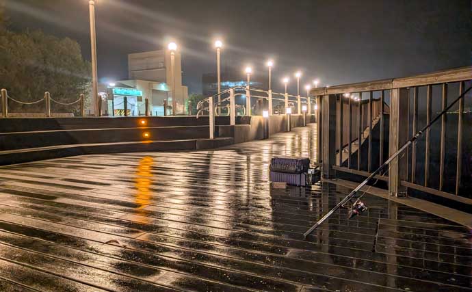 電気ウキ釣りでセイゴ7匹を手中【愛知県・ボードウォーク】ウキ下調整とハリ選びが釣果のカギ