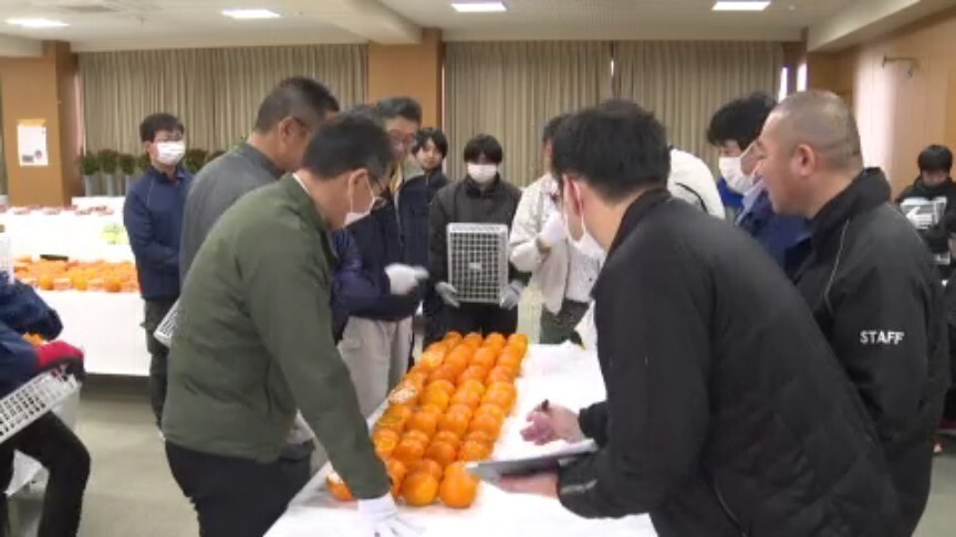 「非常にいいものに仕上がっている」 JA農産物品評会 愛媛県・松山市（あいテレビ） - Yahoo!ニュース