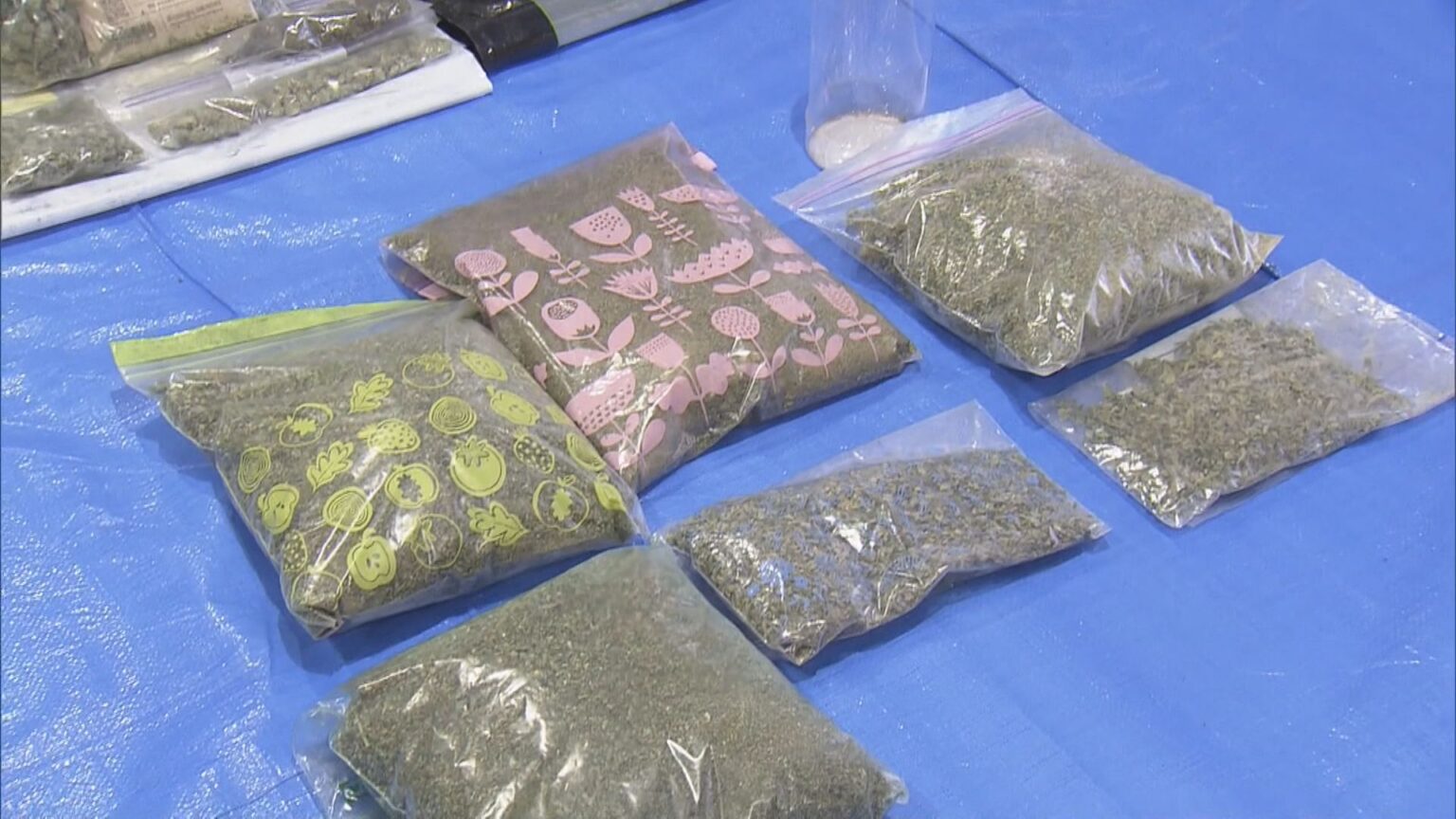 県内で“過去最大規模”の乾燥大麻を押収 夫婦を逮捕 営利目的で所持していた疑い 大量に売りさばくため栽培か 三重・志摩市（CBCテレビ）