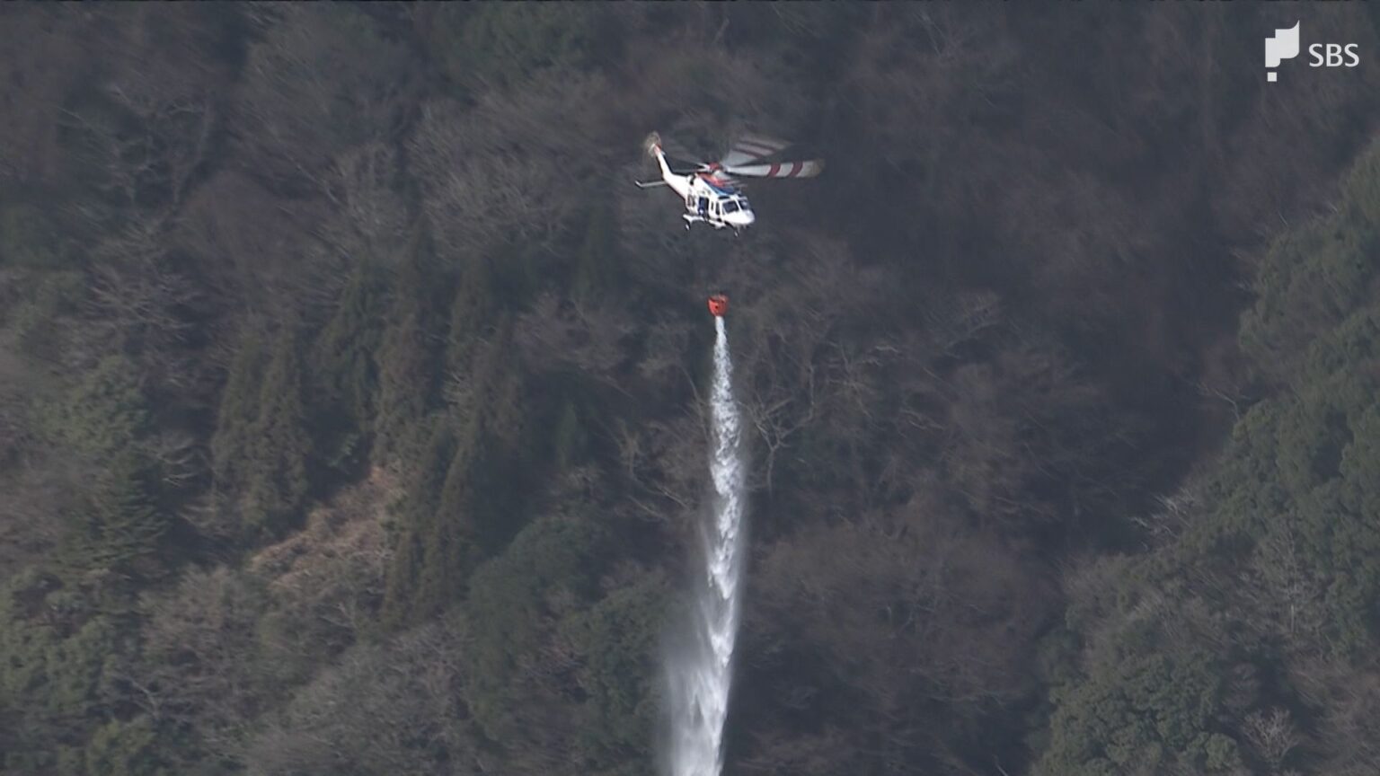 ぽかぽか陽気も…乾燥続く 静岡県内も火の取り扱いに要注意「強烈寒波」の影響は?（静岡放送（SBS）） - Yahoo!ニュース