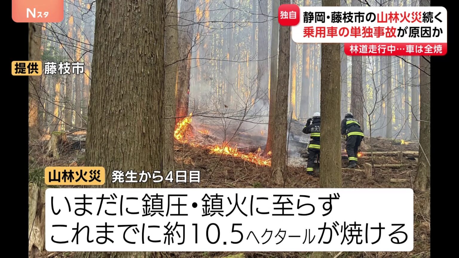 静岡・藤枝市の山林火災　現場から全焼した乗用車1台見つかる この車の単独事故による出火が原因で山林に燃え移ったか　火災発生から4日目も鎮圧に至らず（TBS NEWS DIG Powered by JNN）