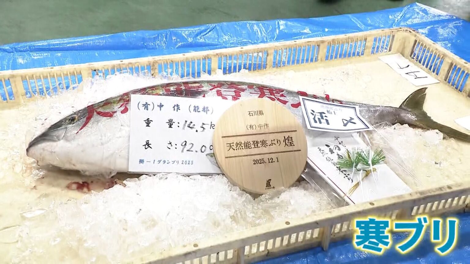 富山湾の冬の王者“寒ブリ”が不漁で「ひみ寒ぶり宣言」出せず…一方で山口県でブリが豊漁に！？一体なぜ？（TBS NEWS DIG Powered by JNN）