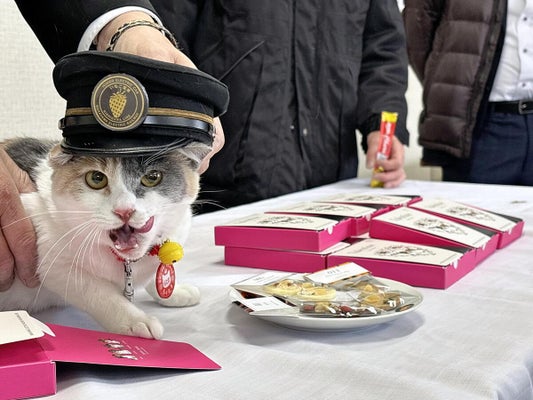 ろくたまと販売が始まったチョコレート（和歌山市の和歌山電鉄伊太祈曽駅で）