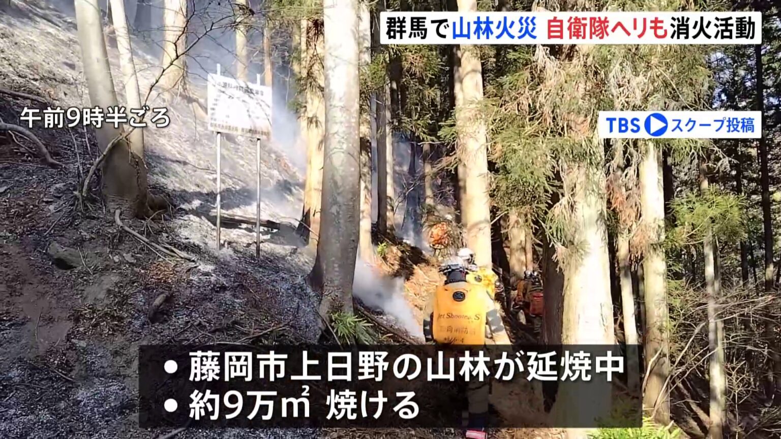 群馬・藤岡市で山林火災 延焼中、自衛隊に災害派遣要請（TBS NEWS DIG Powered by JNN）