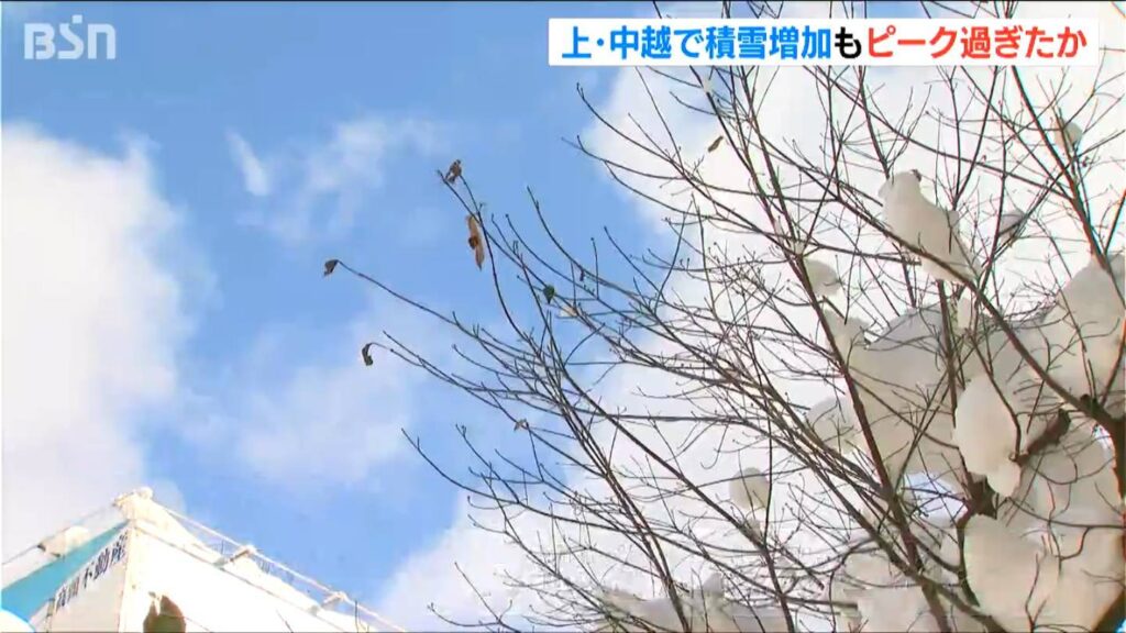 大雪のピーク過ぎるも「毎朝 雪消ししないと駄目なので体中が痛い」今後さらに50cmの予想降雪量　新潟県 中越の山沿い（ＢＳＮ新潟放送） - Yahoo!ニュース