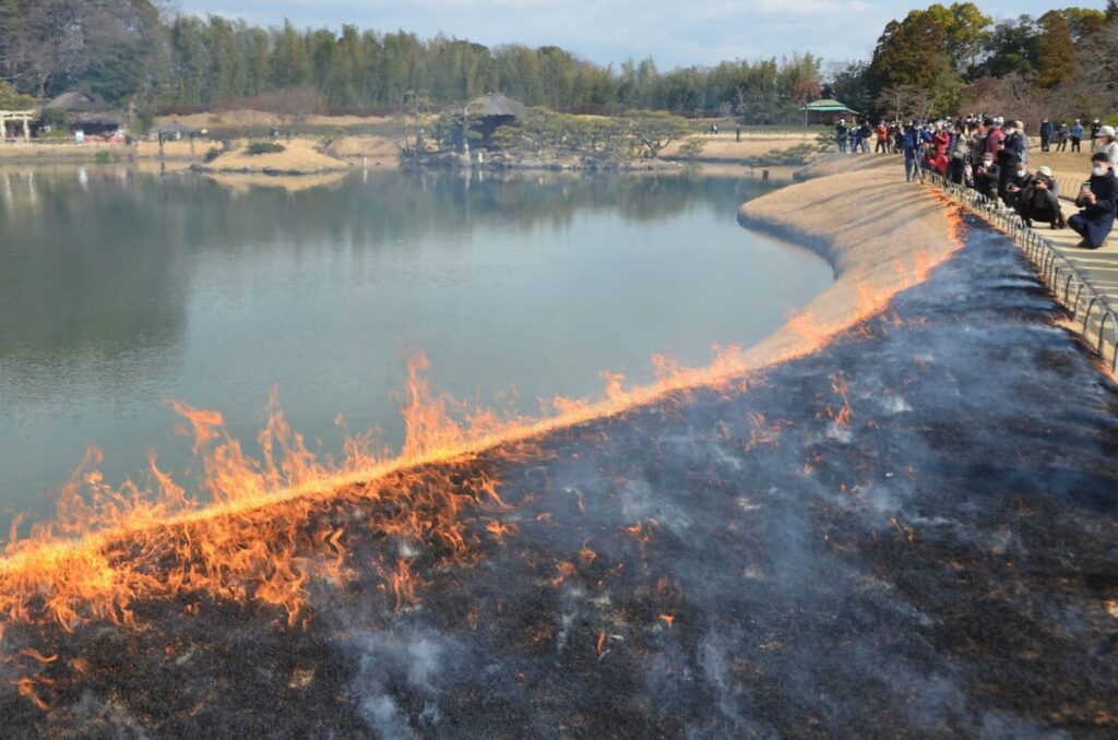 冬の岡山を彩る風物詩 後楽園の「芝焼き」から倉敷の「雛めぐり」まで季節の移ろいを楽しむ伝統行事4選 | 旅とおでかけ 鉄道チャンネル 冬の岡山を彩る風物詩 後楽園の「芝焼き」から倉敷の「雛めぐり」まで季節の移ろいを楽しむ伝統行事4選 | 旅とおでかけ 鉄道チャンネル