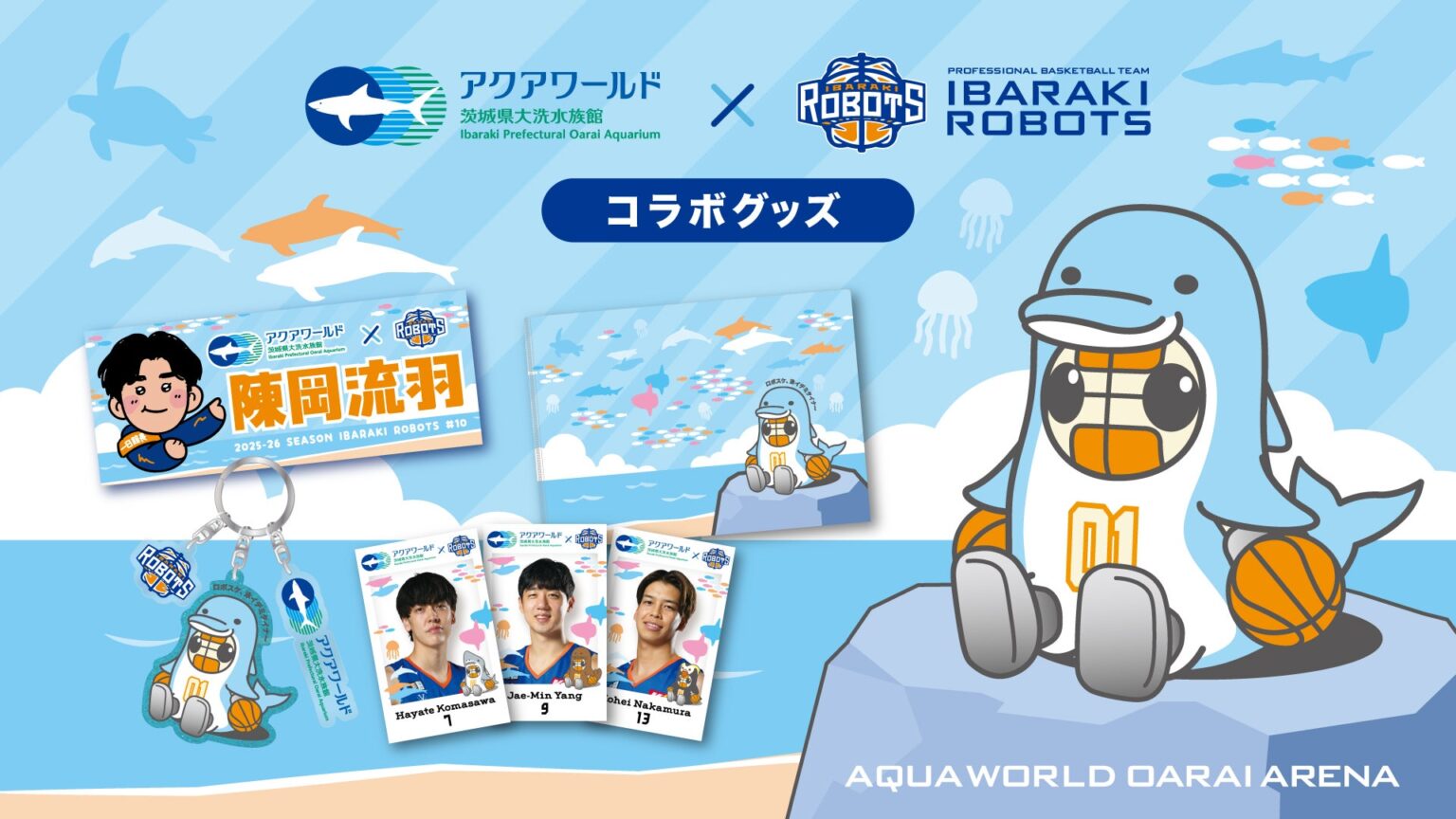 アクアワールド・大洗×茨城ロボッツ コラボグッズ販売のお知らせ | 茨城ロボッツ