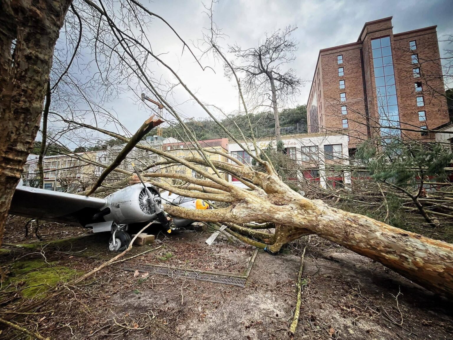 レイリアの主要なシンボルが破壊されました 😢