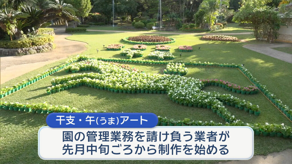 宮古島市植物園に午年アート登場　1500個の花が彩る新年の写真スポット – QAB NEWS Headline
