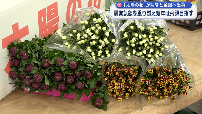 初荷式 県産の花が全国へ出荷 – QAB NEWS Headline 初荷式 県産の花が全国へ出荷 – QAB NEWS Headline